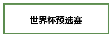 世界杯预选赛